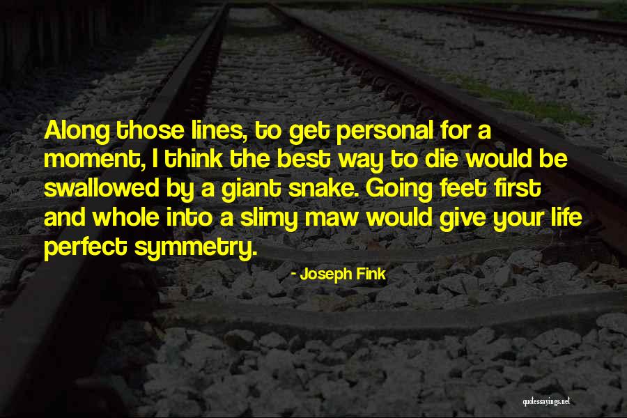 Joseph Fink Quotes 876458