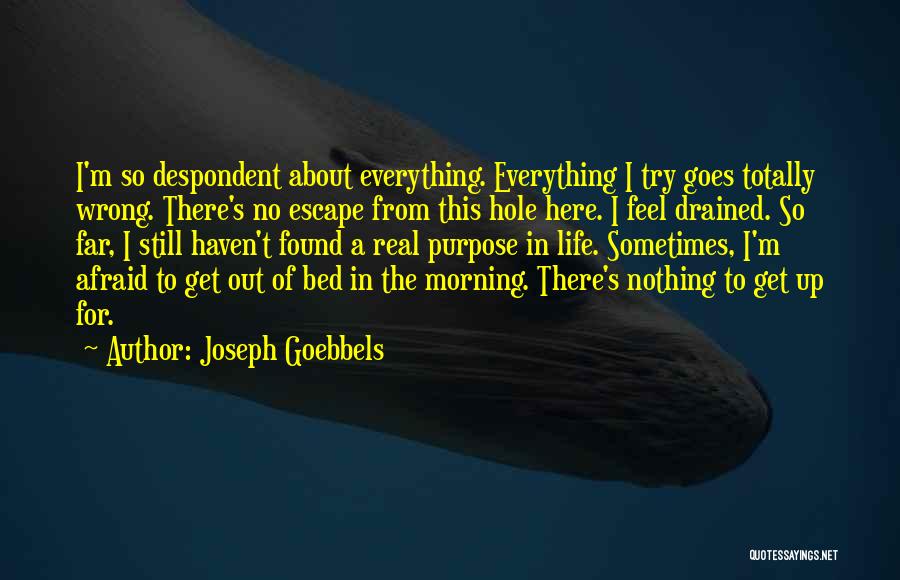 Joseph Goebbels Quotes 1500782