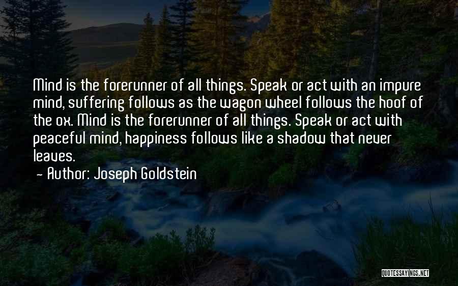 Joseph Goldstein Quotes 1069909