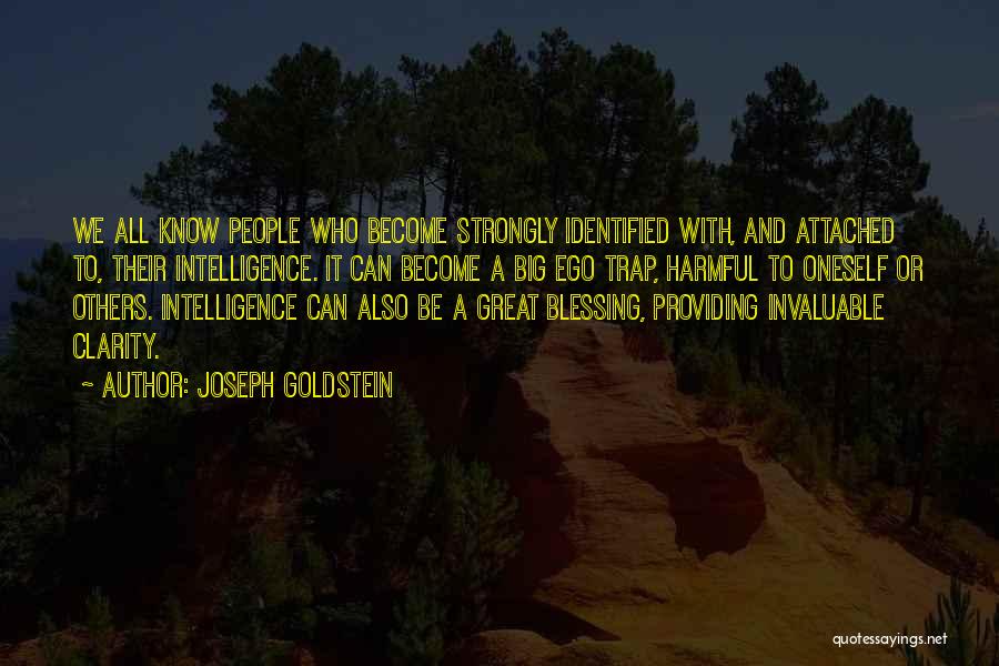 Joseph Goldstein Quotes 1107998