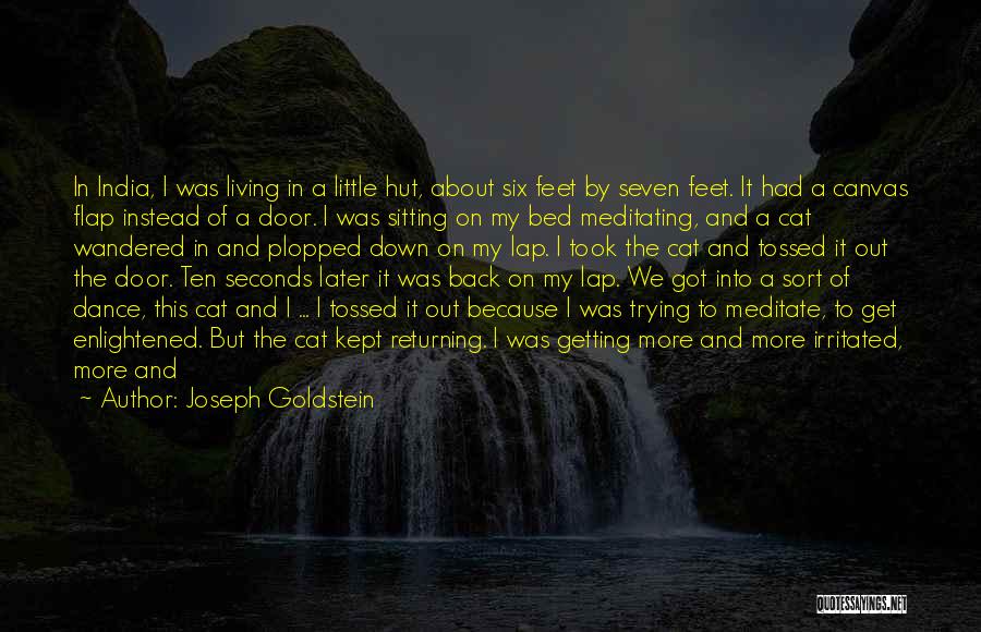 Joseph Goldstein Quotes 1332242