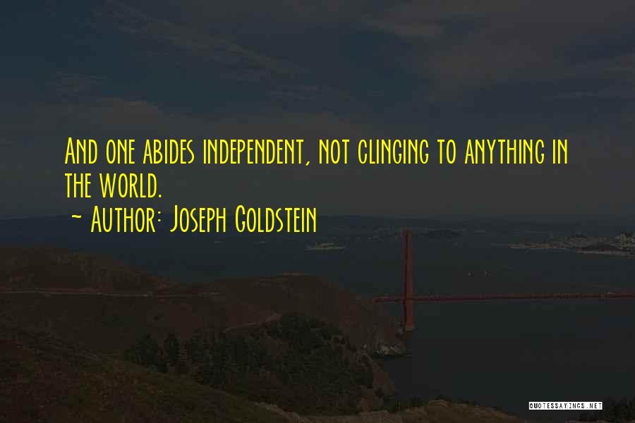 Joseph Goldstein Quotes 1358976