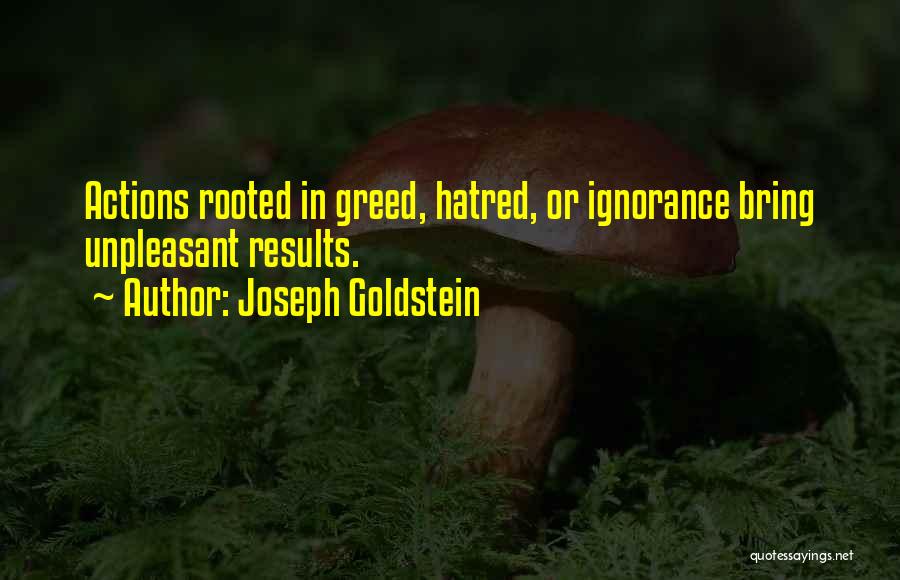 Joseph Goldstein Quotes 1409242