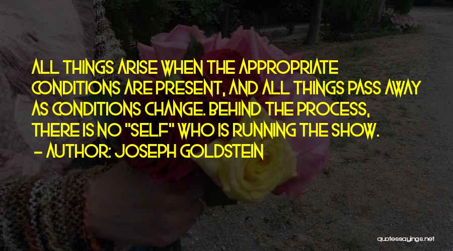 Joseph Goldstein Quotes 1573544