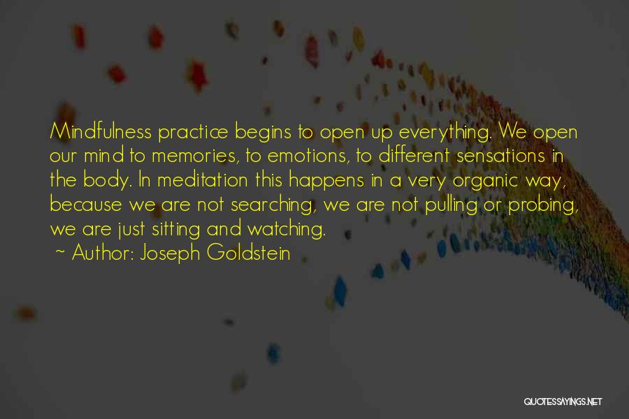 Joseph Goldstein Quotes 1644814