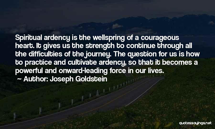 Joseph Goldstein Quotes 1773935