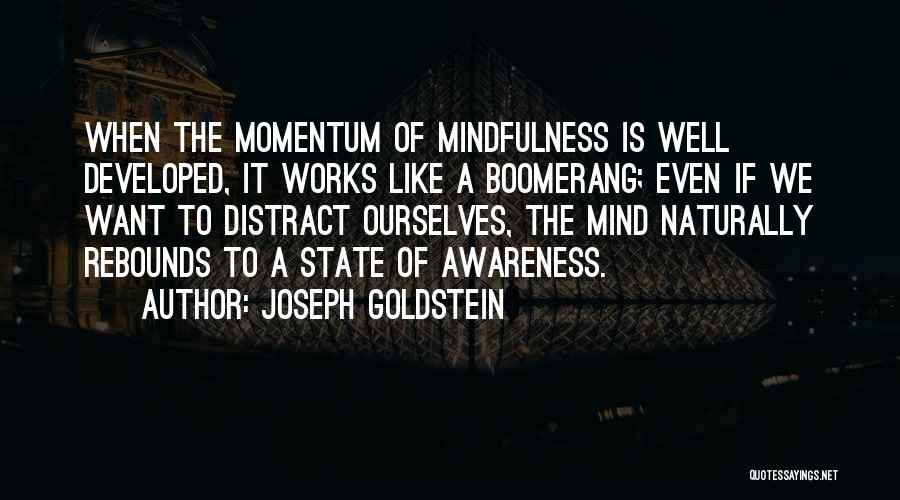 Joseph Goldstein Quotes 321827