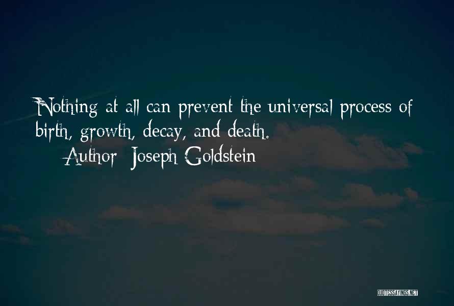 Joseph Goldstein Quotes 340229