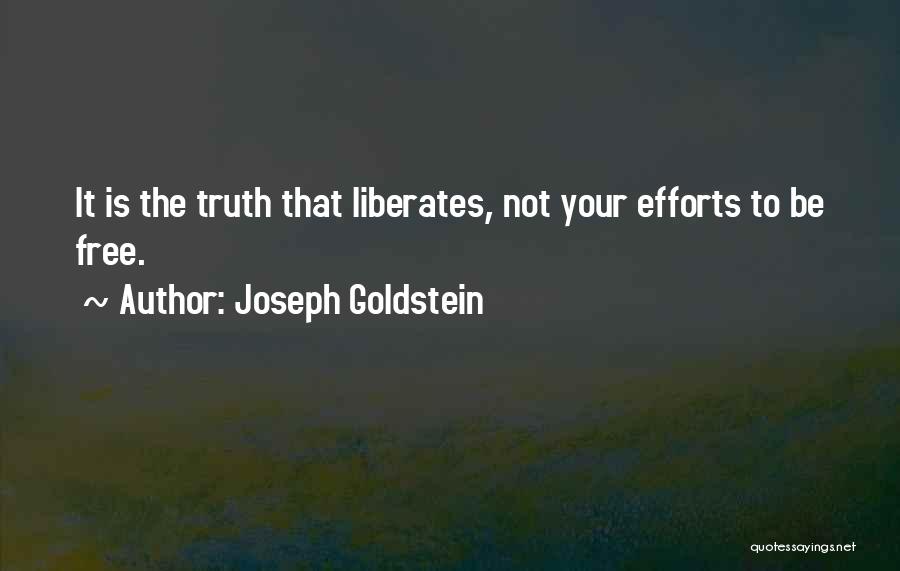 Joseph Goldstein Quotes 530399