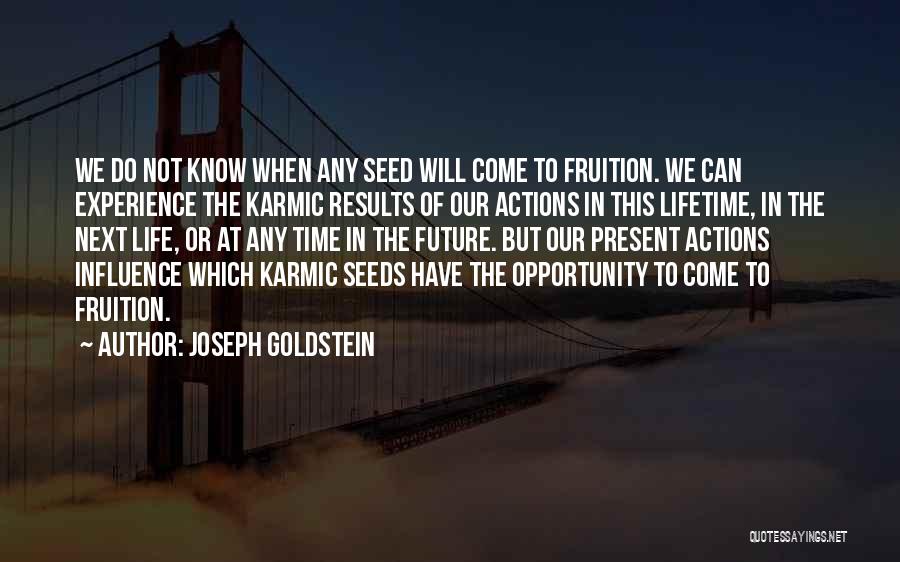 Joseph Goldstein Quotes 579887