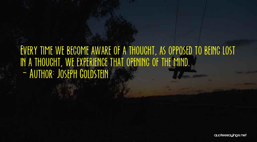 Joseph Goldstein Quotes 934038