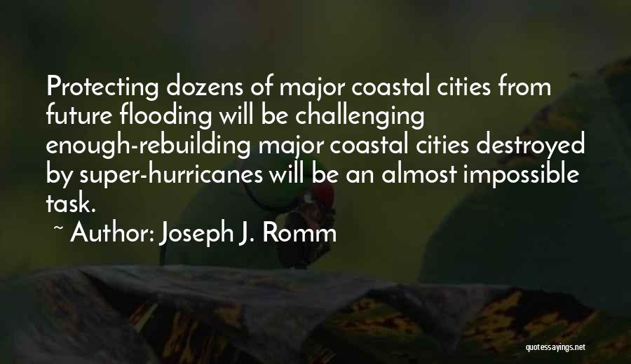 Joseph J. Romm Quotes 1275117