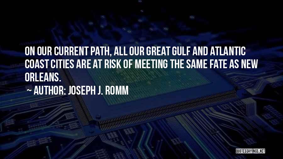 Joseph J. Romm Quotes 677971