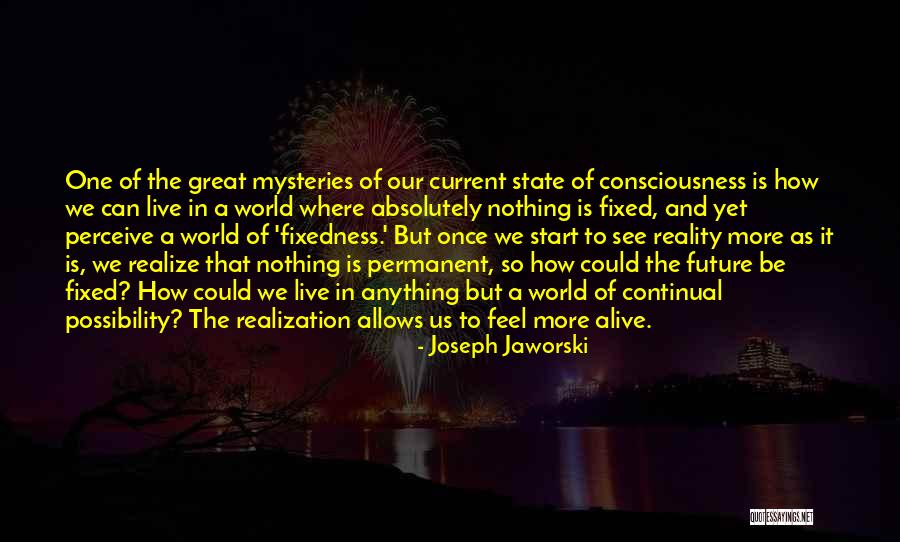 Joseph Jaworski Quotes 1466653