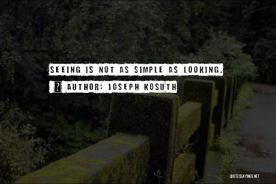 Joseph Kosuth Quotes 601014