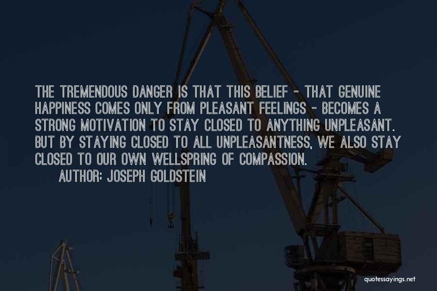 Joseph L. Goldstein Quotes By Joseph Goldstein