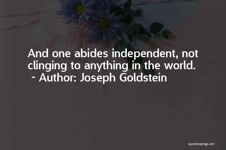 Joseph L. Goldstein Quotes By Joseph Goldstein