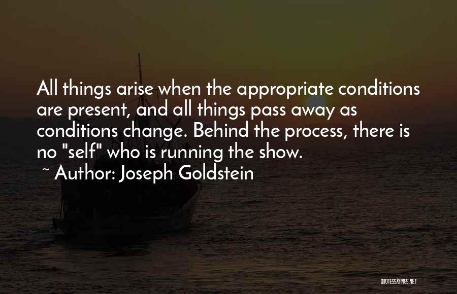 Joseph L. Goldstein Quotes By Joseph Goldstein