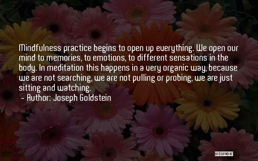 Joseph L. Goldstein Quotes By Joseph Goldstein