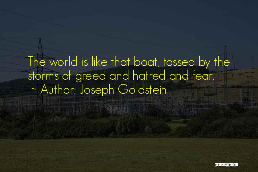 Joseph L. Goldstein Quotes By Joseph Goldstein