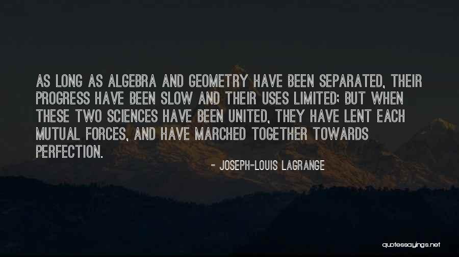 Joseph-Louis Lagrange Quotes 1486744