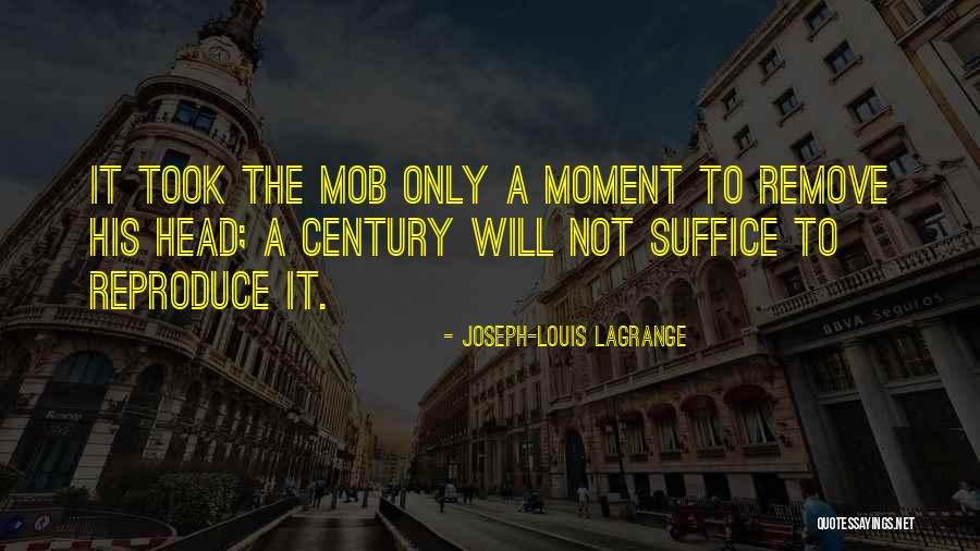 Joseph-Louis Lagrange Quotes 1750619