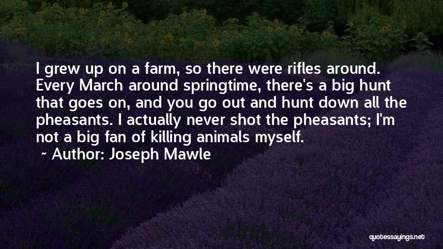 Joseph Mawle Quotes 1790866