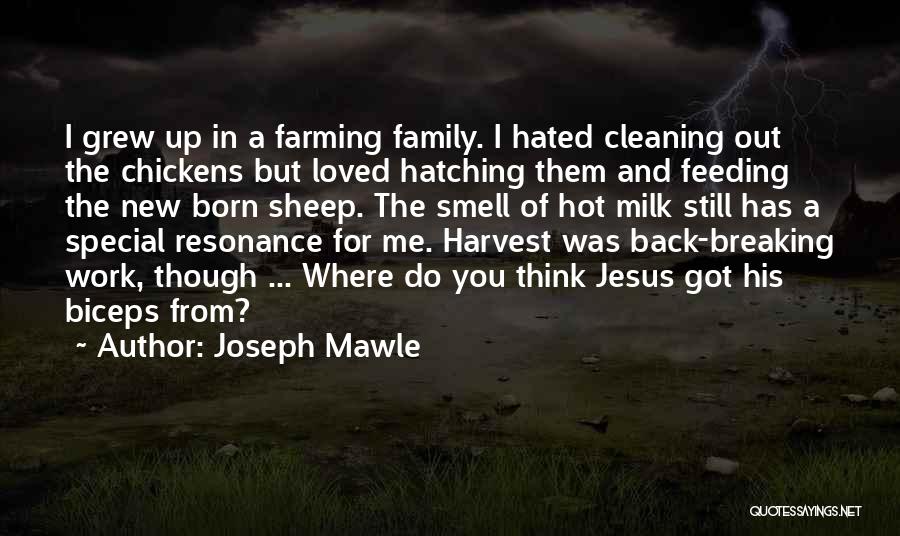 Joseph Mawle Quotes 871864