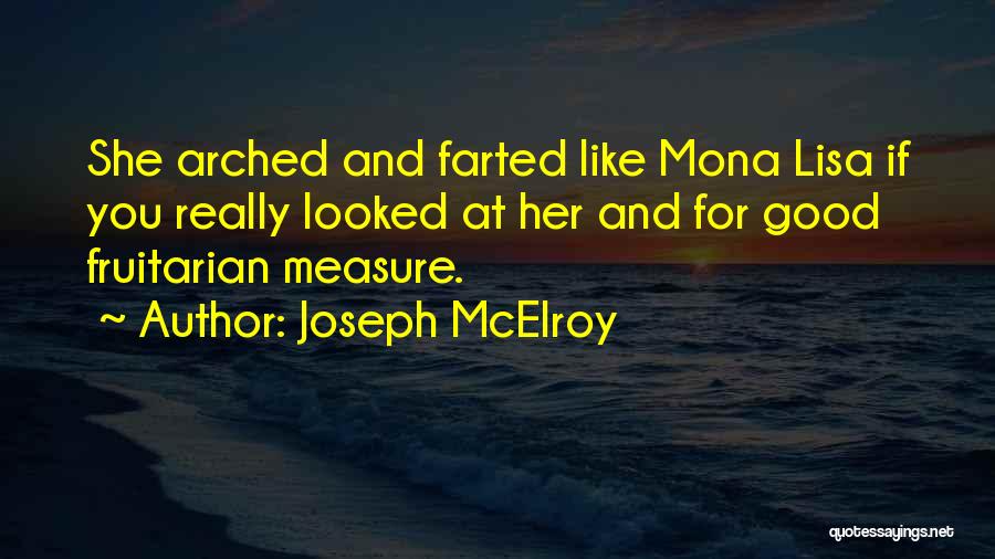 Joseph McElroy Quotes 822199