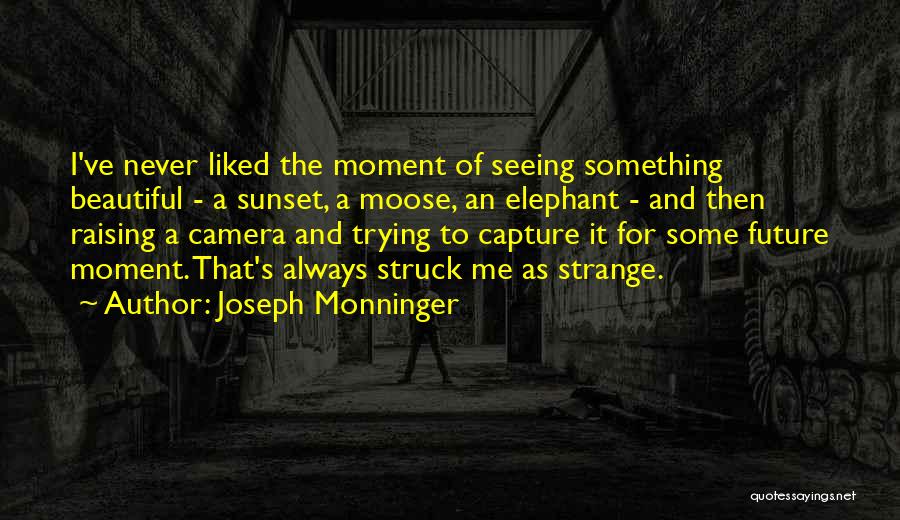 Joseph Monninger Quotes 1283455