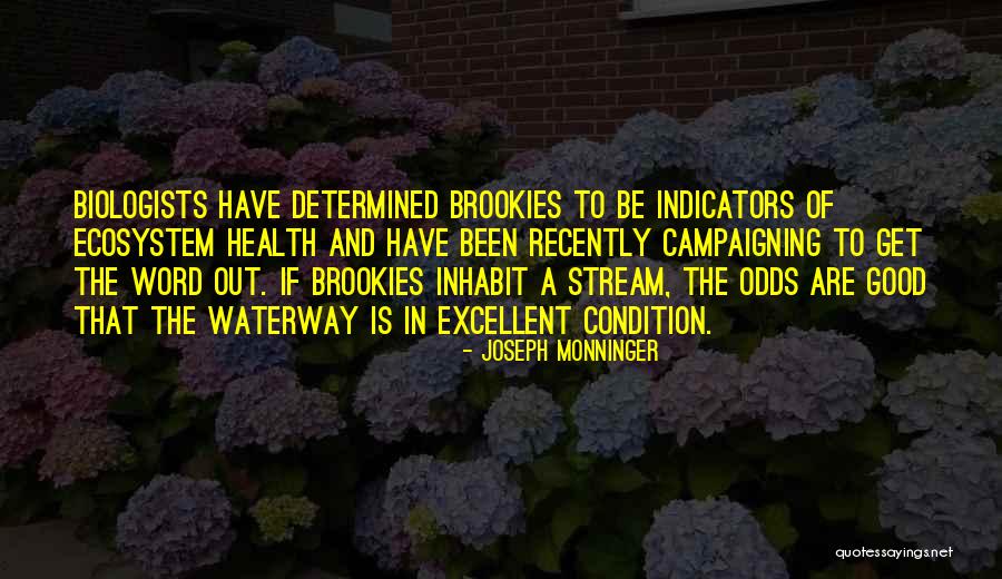 Joseph Monninger Quotes 511645 Joseph Monninger Quotes 511645