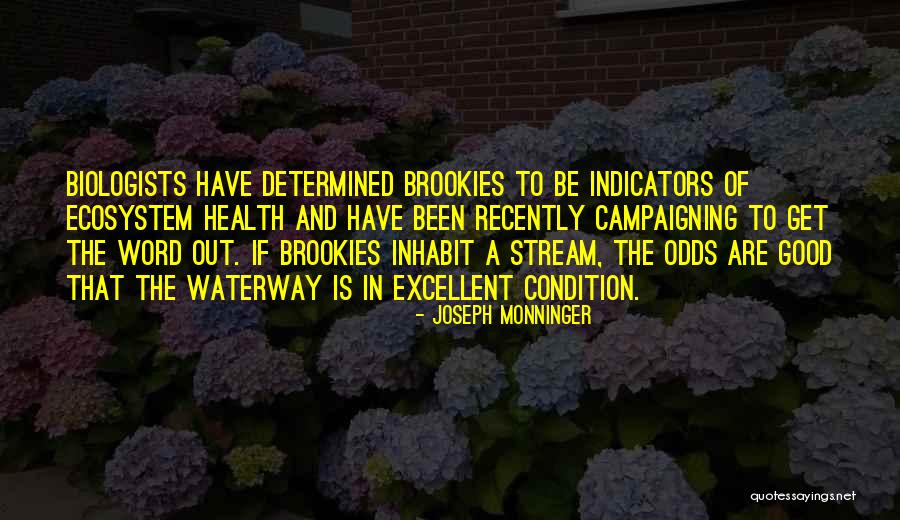 Joseph Monninger Quotes 511645