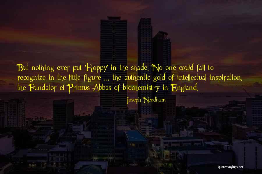 Joseph Needham Quotes 1844424