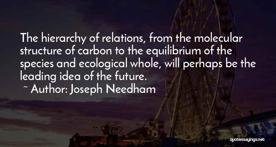 Joseph Needham Quotes 2064823