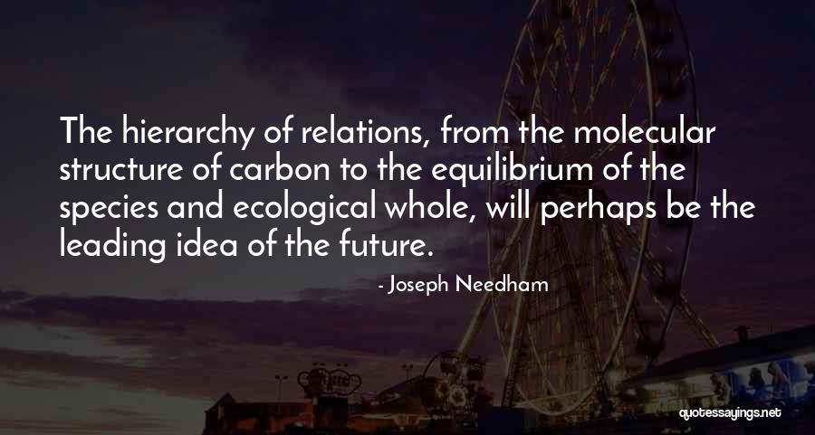 Joseph Needham Quotes 2064823