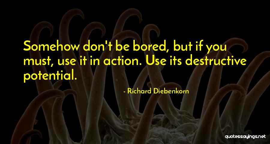 Joseph Nicephore Quotes By Richard Diebenkorn Joseph Nicephore Quotes By Richard Diebenkorn