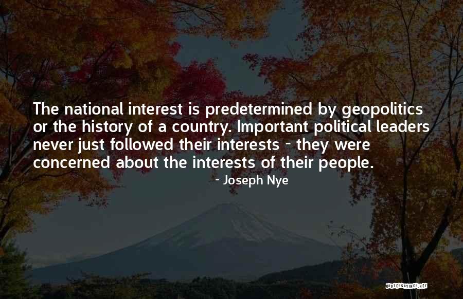 Joseph Nye Quotes 444689