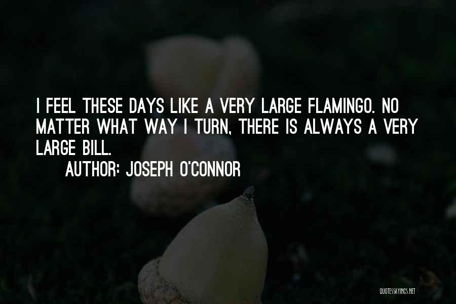 Joseph O Connor Quotes By Joseph O'Connor