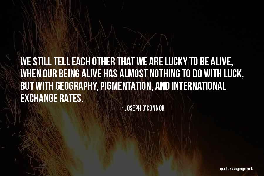 Joseph O'Connor Quotes 117680