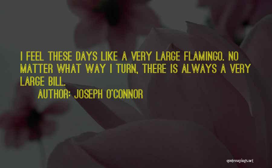 Joseph O'Connor Quotes 311675