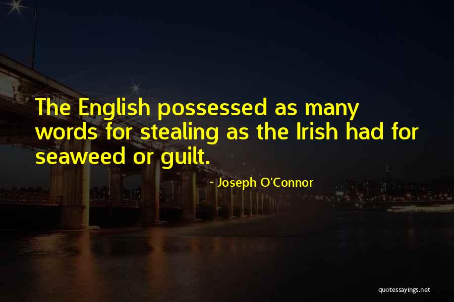 Joseph O'Connor Quotes 873185