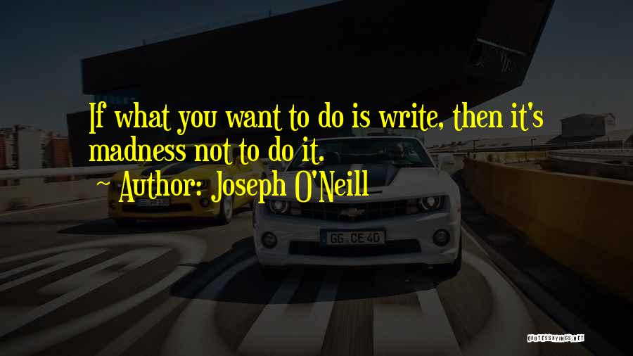 Joseph O'Neill Quotes 1287876