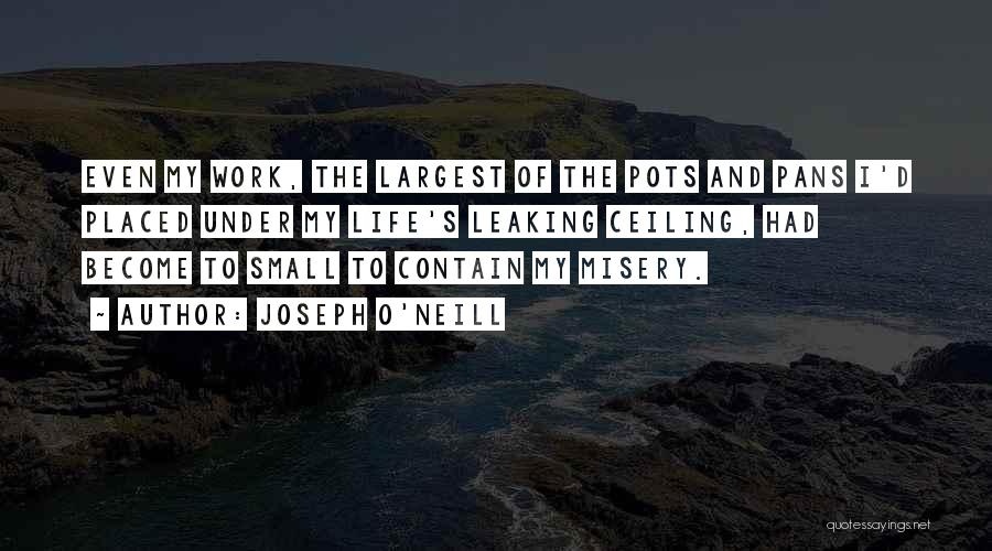 Joseph O'Neill Quotes 185683