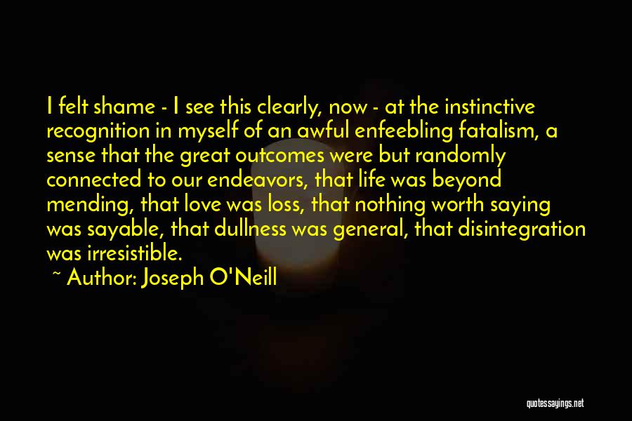 Joseph O'Neill Quotes 1918348