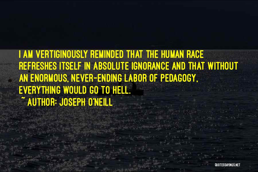 Joseph O'Neill Quotes 1975982