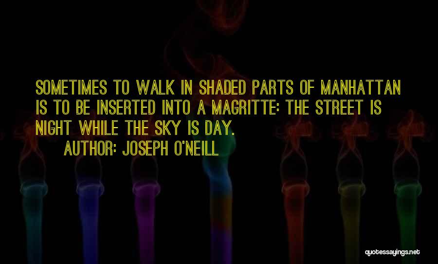 Joseph O'Neill Quotes 2004292