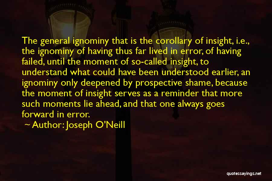Joseph O'Neill Quotes 2129354