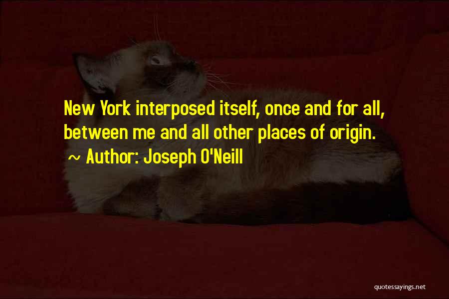 Joseph O'Neill Quotes 528718