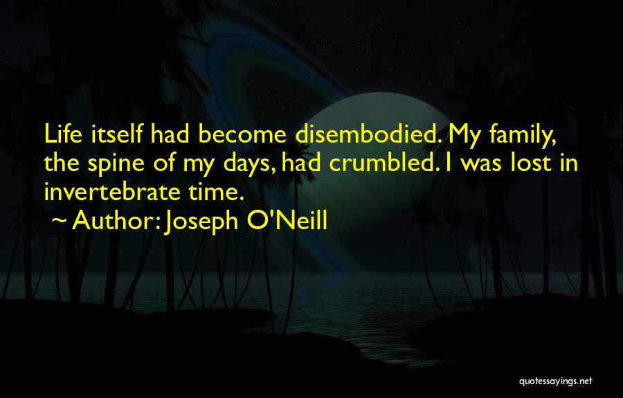 Joseph O'Neill Quotes 923338