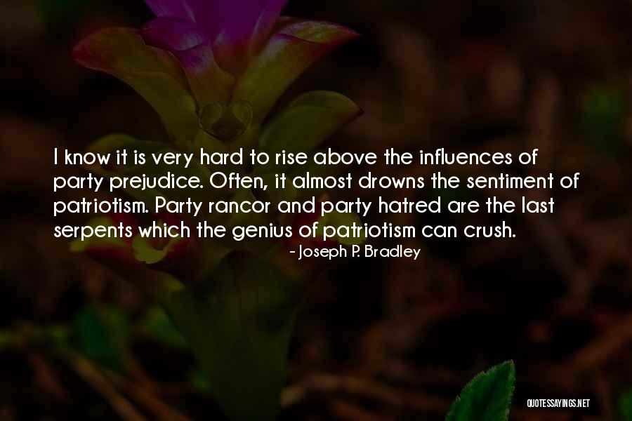 Joseph P. Bradley Quotes 1479610